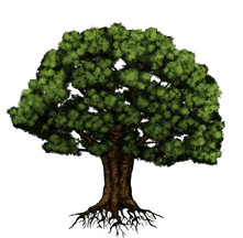 3p8H.gif