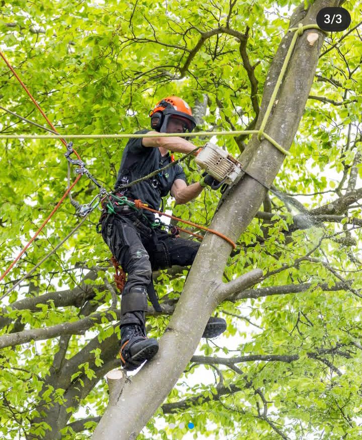 screenshot 20250824 214646 instagram lite2754597332671985247