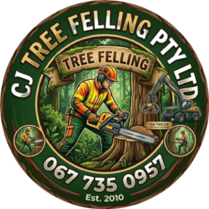 cropped f25fefed 4c7a 4208 bc9b 0d150373fea4 removebg preview