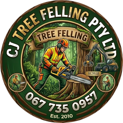 f25fefed 4c7a 4208 bc9b 0d150373fea4 removebg preview